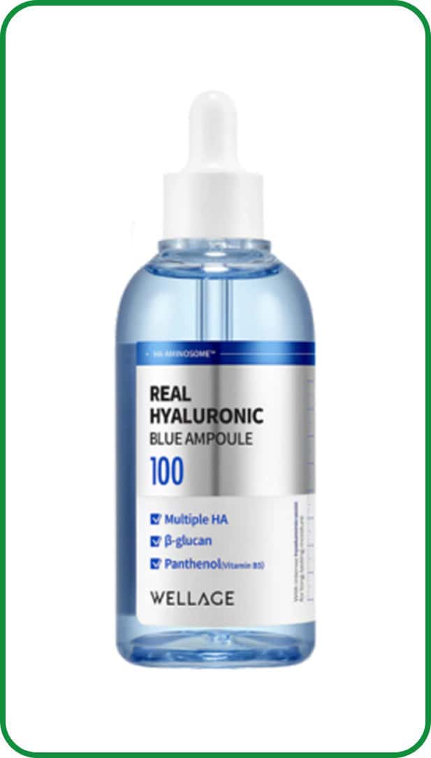 Wellage Real Hyaluronic Blue 100 Ampoule